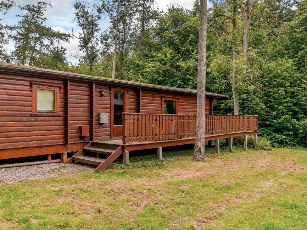 A log cabin with steps and a balcony surrounded by trees at Cedar Lodge in Louth