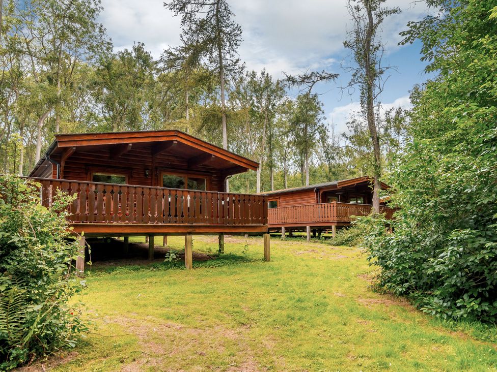 Two wooden cabins surrounded by trees at Cedar Lodge (Pet) Louth