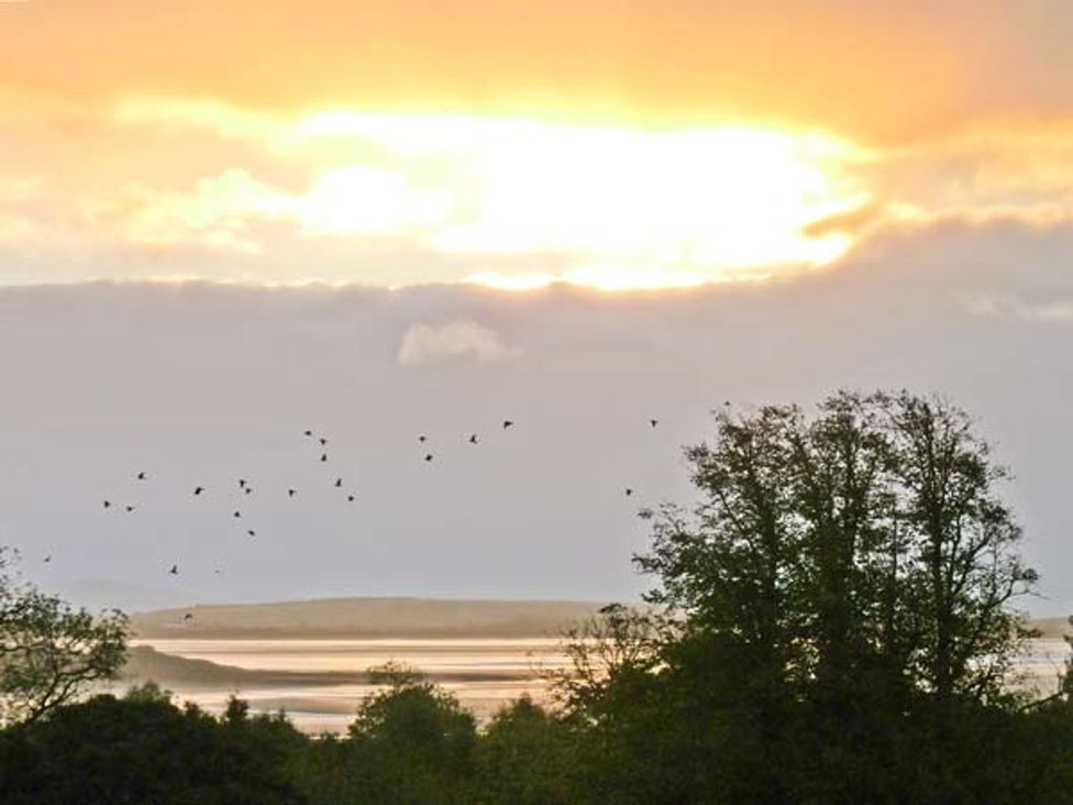 A sunset with birds flying over water and trees at Priory View in Ulverston