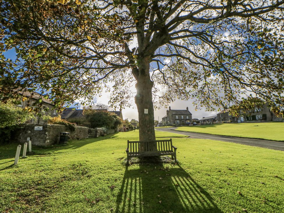 A tree and bench in a grassy area at Ivy Cottage in West Burton