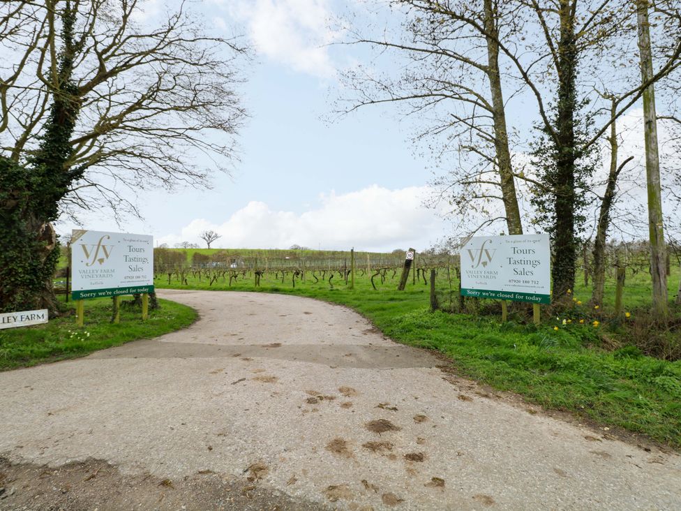 A road leading to a vineyard at Valley Farm near Halesworth