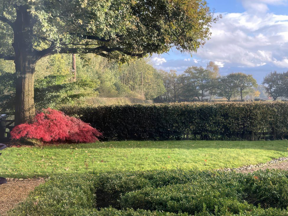 A garden with a tree and flowering plant at Acorn Cottage in Knutsford