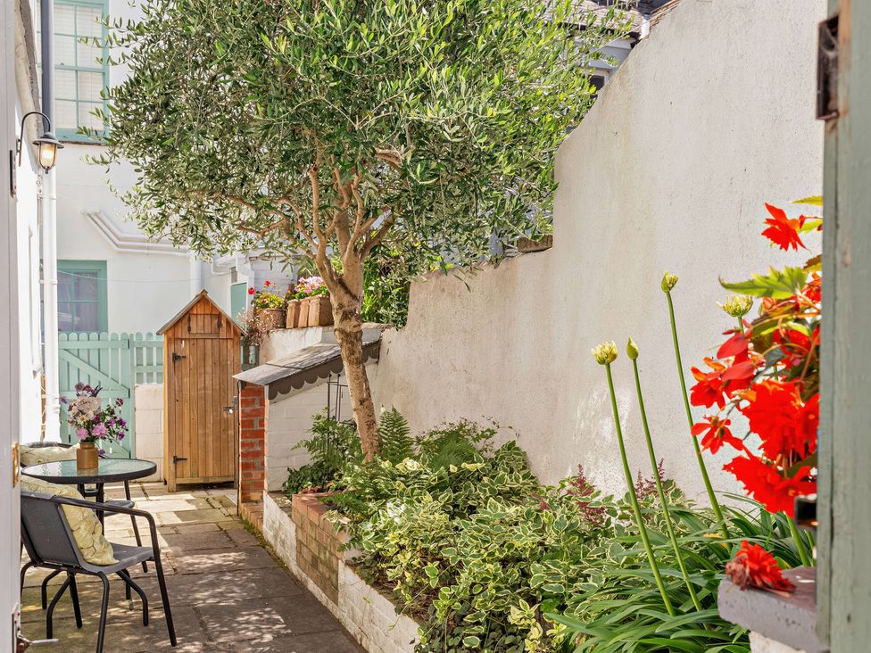 A garden with an olive tree and a wooden shed at Ivy Cottage in Dartmouth