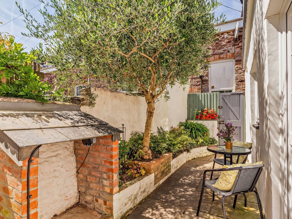 An outdoor space with an olive tree and seating area at Ivy Cottage Dartmouth