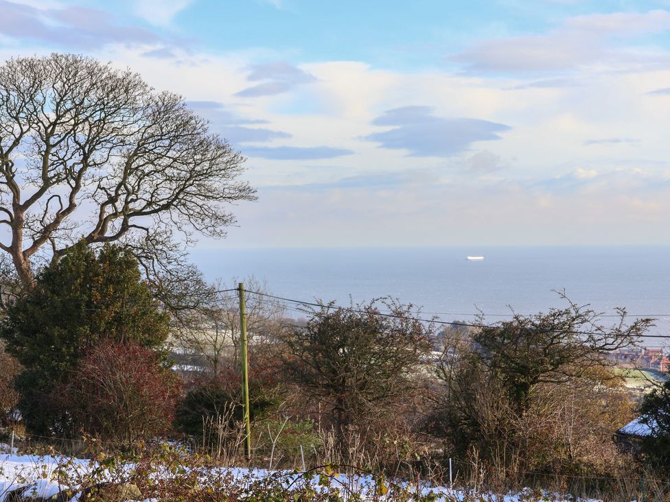 A view of a tree with the ocean and a ship at Cheyne Cottage in Fylingthorpe