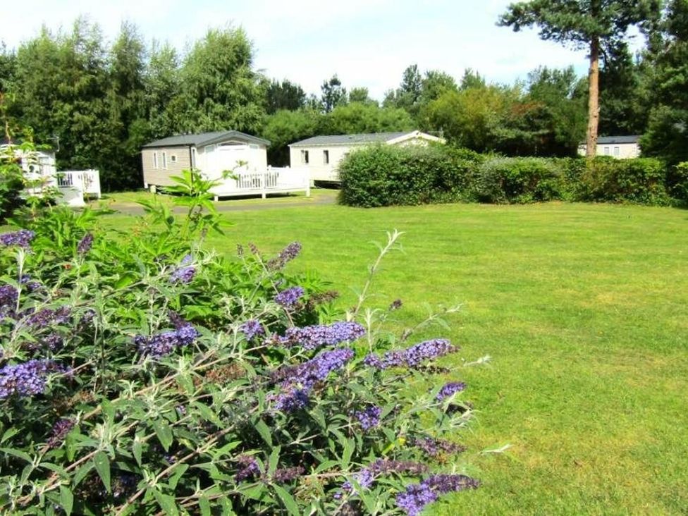 An outdoor area with caravans and green grass at Seton Sands Caravan Park - Holiday Accommodation 13391 Cockenzie And Port Seton