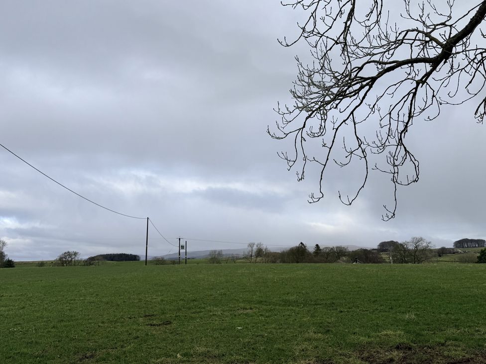 A field with grass and trees at The Farm House in Wigglesworth near Settle