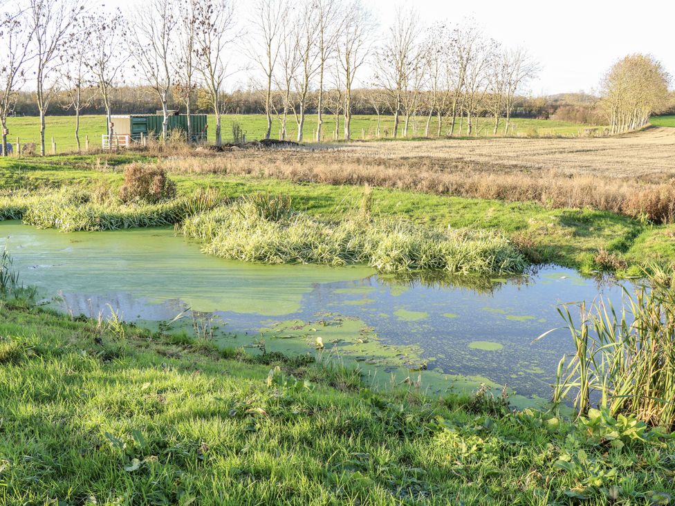 A pond surrounded by grass and trees at The Robins Nest in 