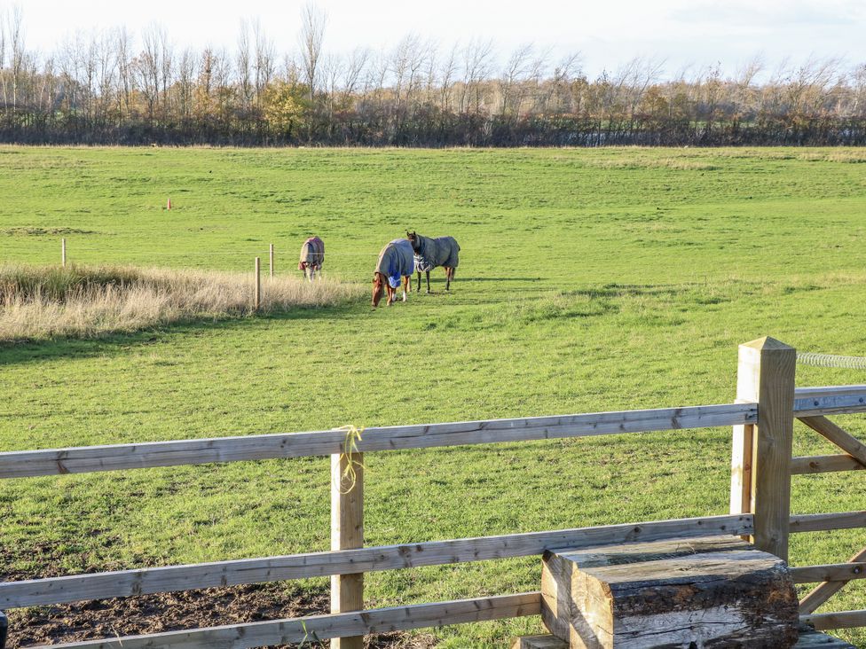 Horses grazing in a field next to a wooden fence at The Robins Nest in 