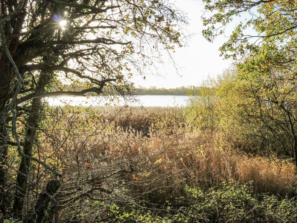 A view of water through foliage at The Robins Nest in 