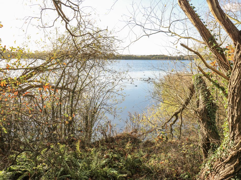 A view of a lake surrounded by trees and bushes at The Robins Nest 