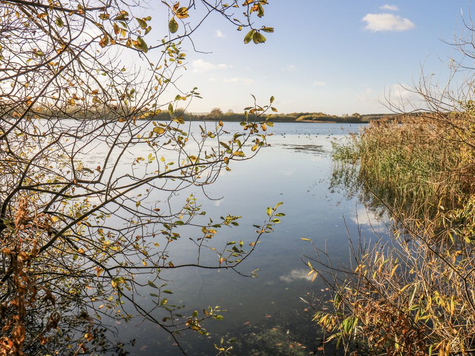 A view of a lake with trees and plants at The Robins Nest in 