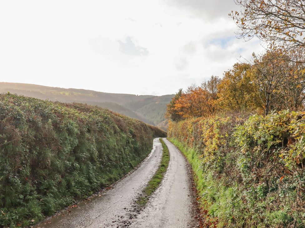 A winding road between hedges and trees in a rural area at Clifford Lodge Barn 