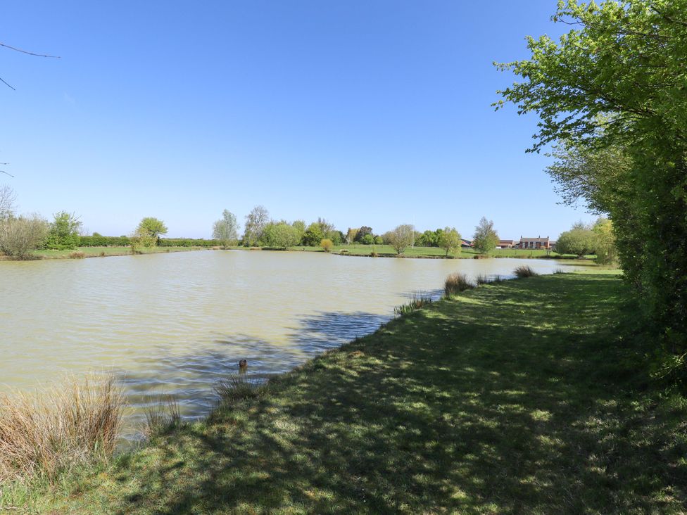 A pond surrounded by grass and trees at Barn Owl near Louth