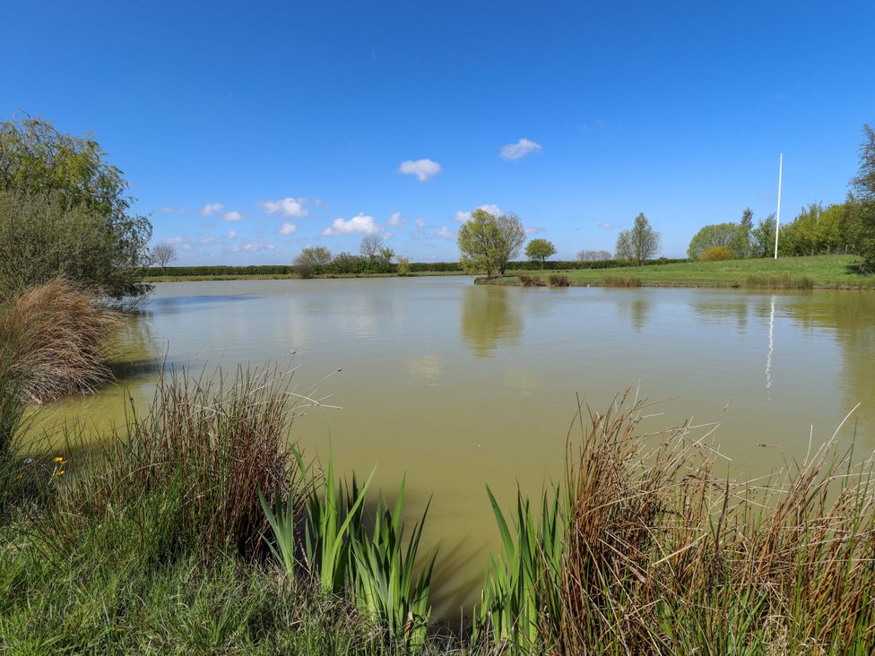 A pond surrounded by grass and trees at Barn Owl near Louth