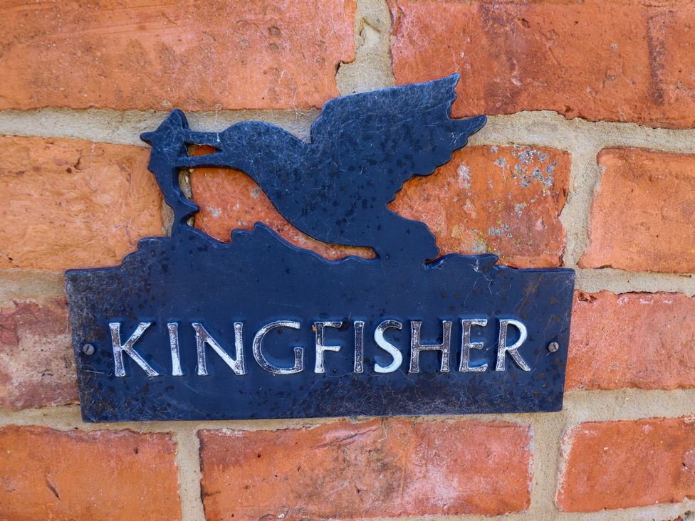 Kingfisher - Lincolnshire - 1191819 - thumbnail photo 3