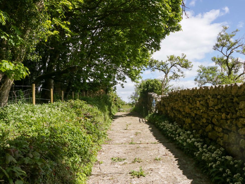 A path with trees and stone walls at Little Hut Grange-Over-Sands