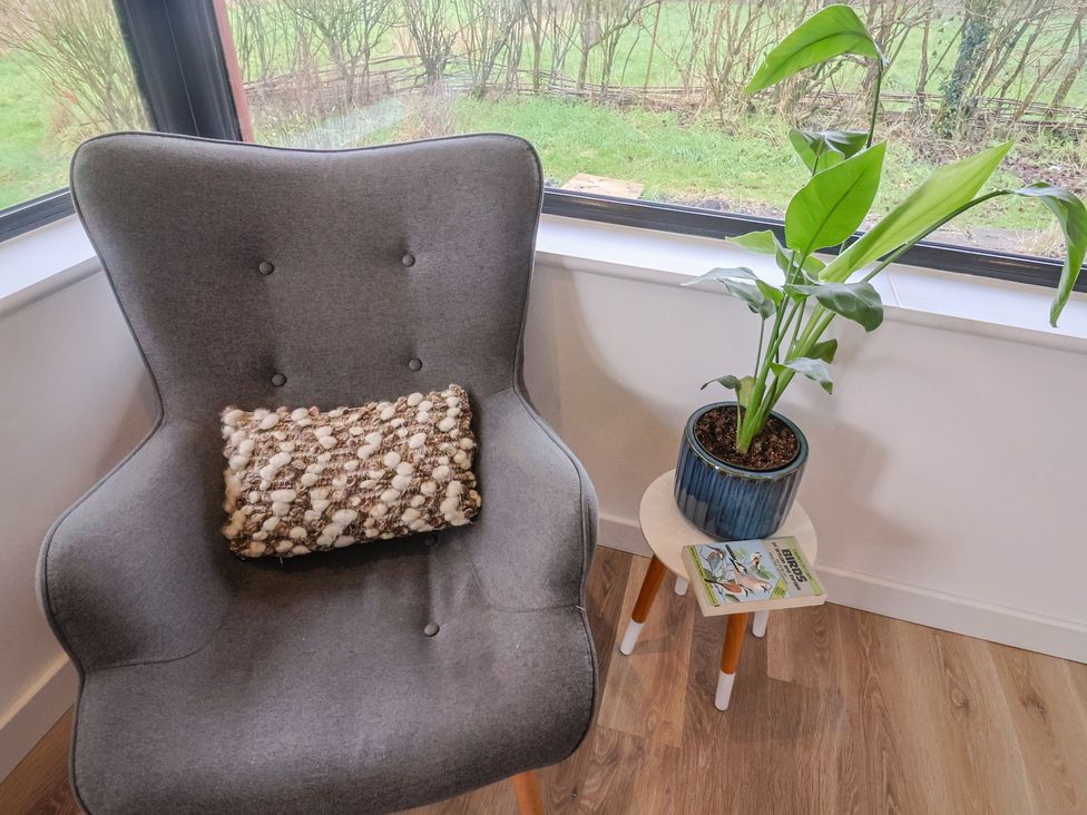A seating area with a chair and plant at Little Poppes Lawn in Holditch near Hawkchurch