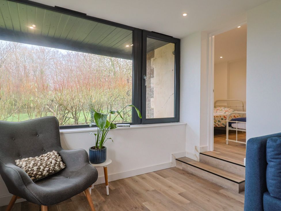 A seating area with a chair and plant at Little Poppes Lawn in Holditch near Hawkchurch