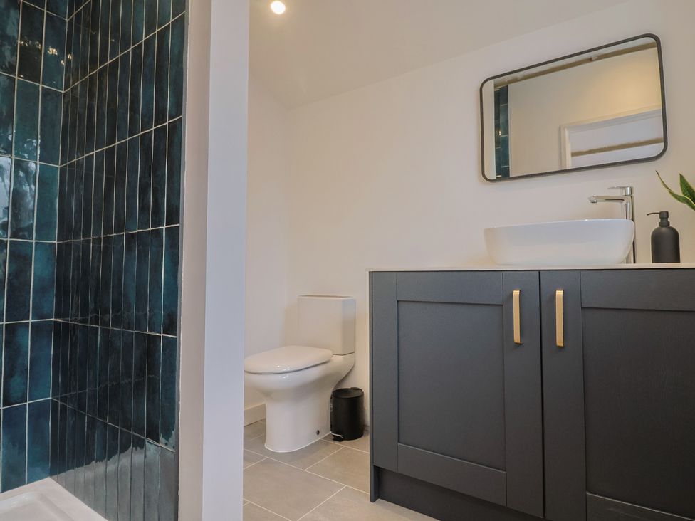 A bathroom with a shower, toilet, and sink at Little Poppes Lawn in Holditch near Hawkchurch