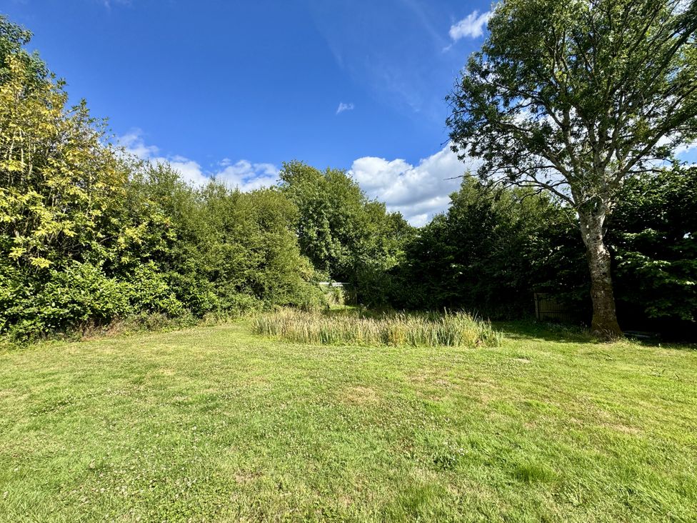 A garden with trees and a pond at Forest Break in Southampton