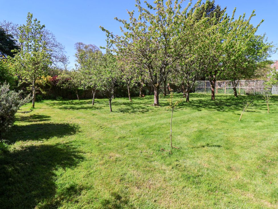 A garden with trees and grass at Winston Hall in Beccles