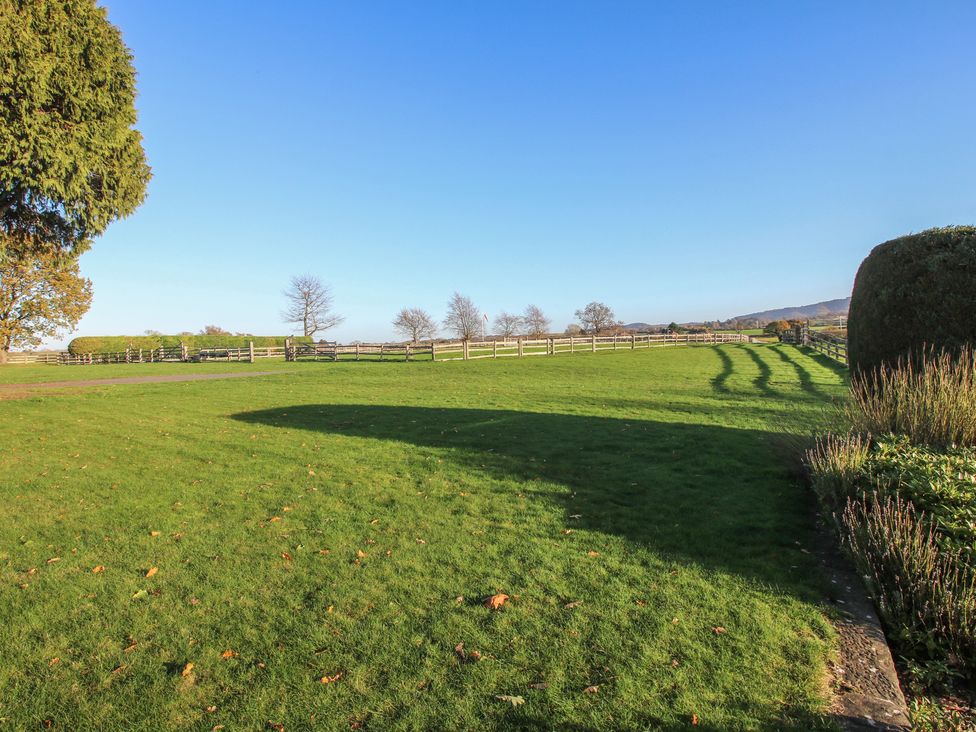 A garden with grass and a tree at The Mill House 
