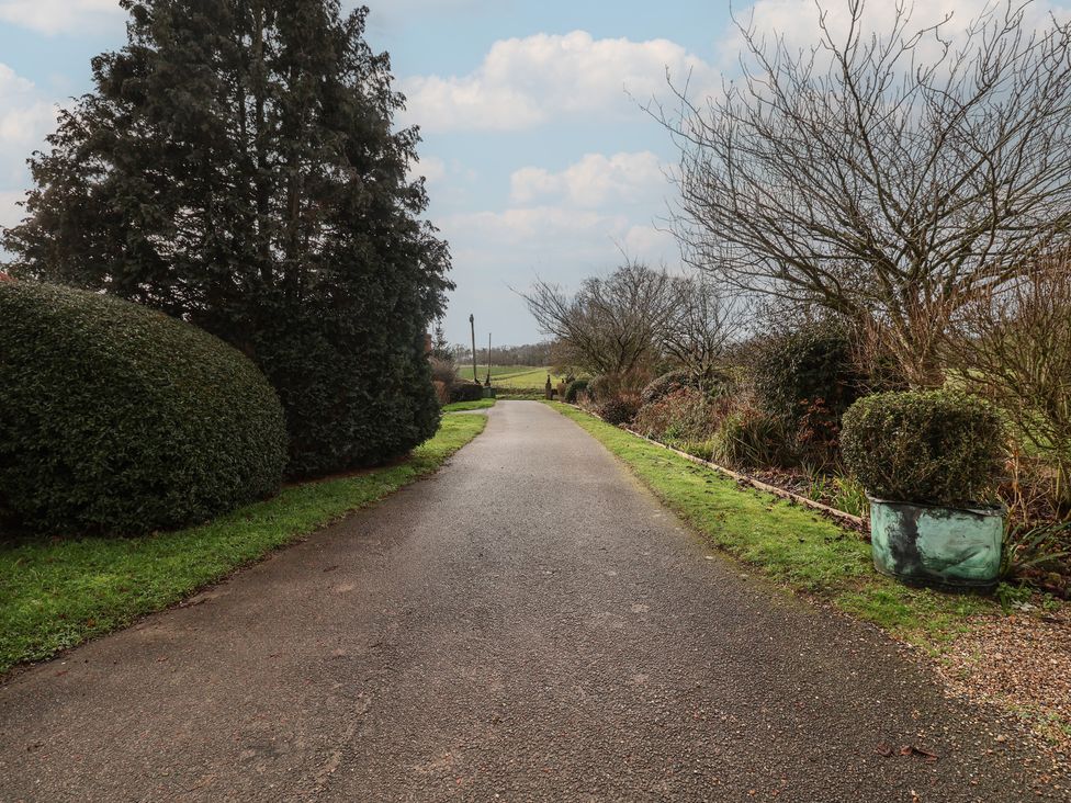 A driveway lined with bushes and trees at The Gun Room in Beccles