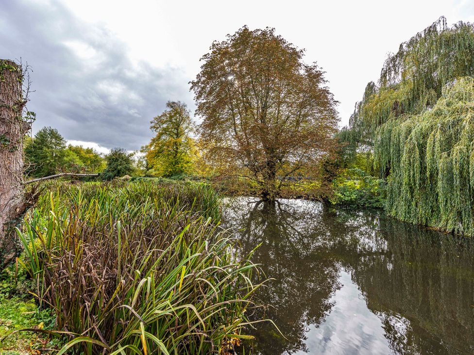 A pond with trees and reeds at 2 Riverside Mews Derby