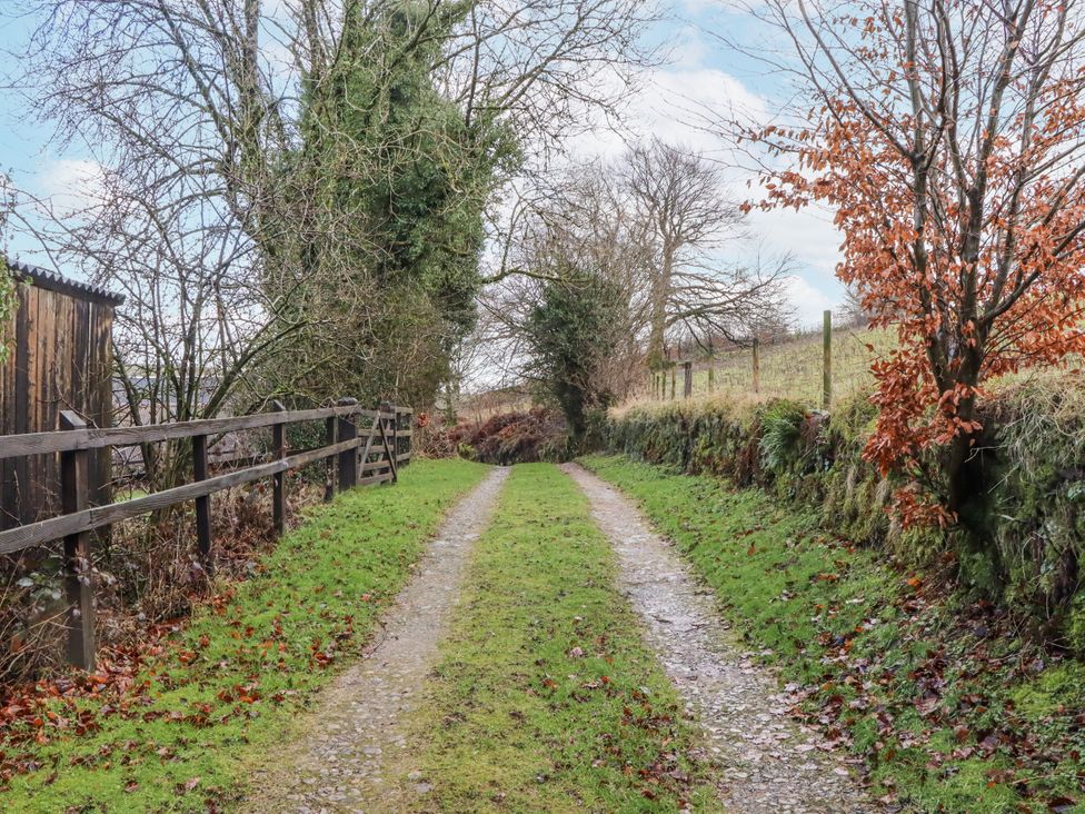 A dirt path between trees and a fence at Swallows Nest in Widecombe-in-the-Moor near Postbridge