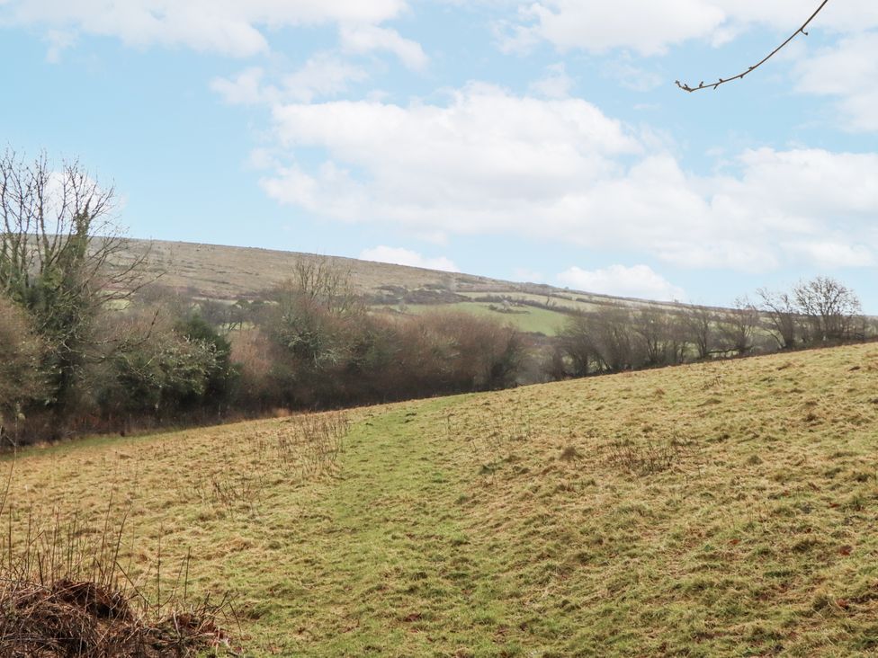 A field with trees and hills at Swallows Nest near Widecombe-in-the-Moor