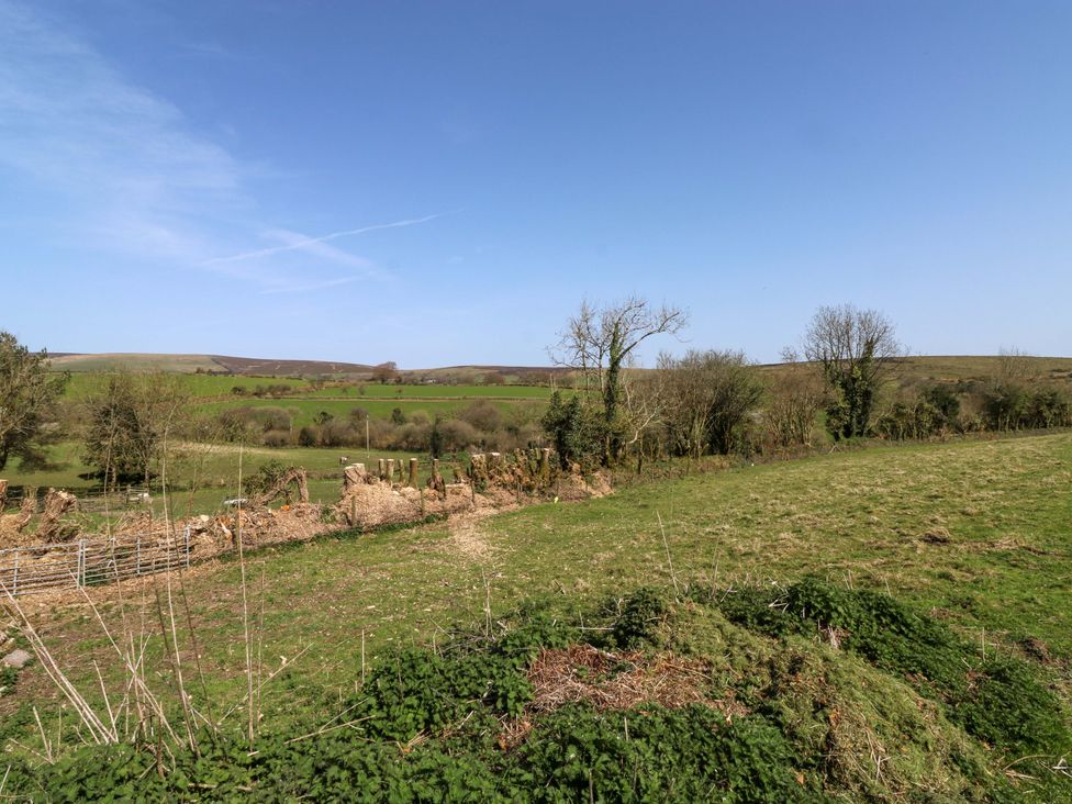 A view of a field with trees and hills at Swallows Nest near Widecombe-in-the-Moor