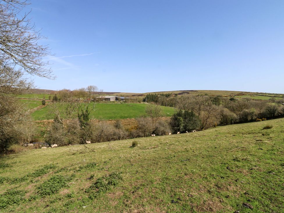 A landscape with sheep in a field at Swallows Nest Widecombe-in-the-Moor near Postbridge