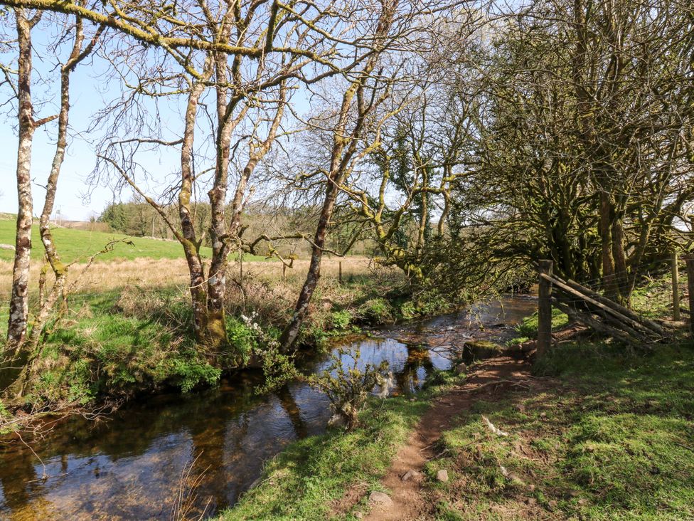 A stream with trees on either side near Swallows Nest Widecombe-in-the-Moor near Postbridge