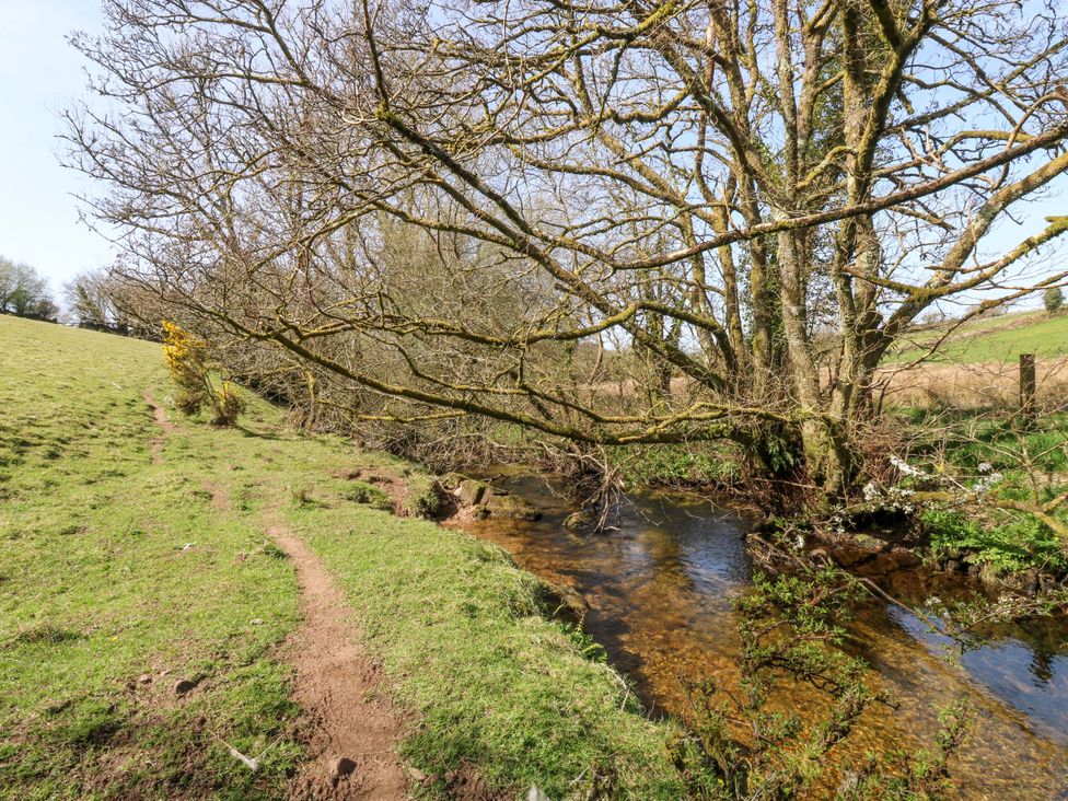 A path alongside a stream near a tree at Swallows Nest Widecombe-in-the-Moor near Postbridge