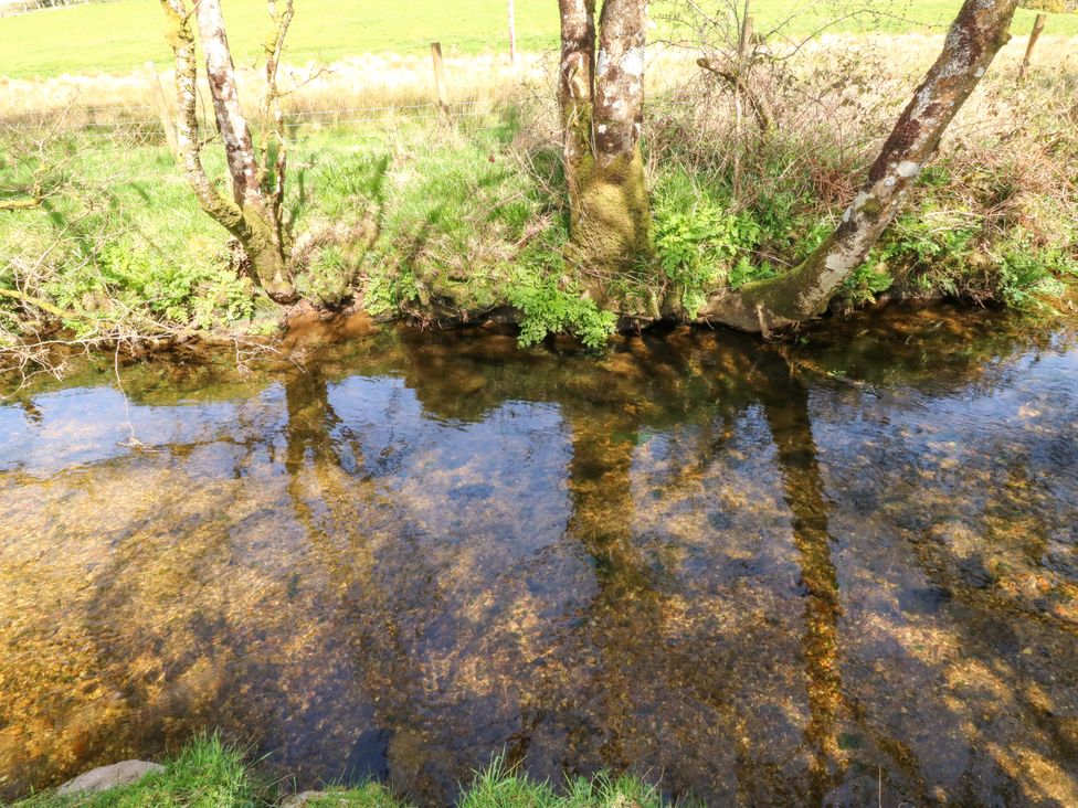 A stream with trees beside it at Swallows Nest near Widecombe-in-the-Moor