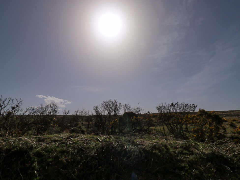Swallows Nest - Devon - 1192109 - thumbnail photo 31