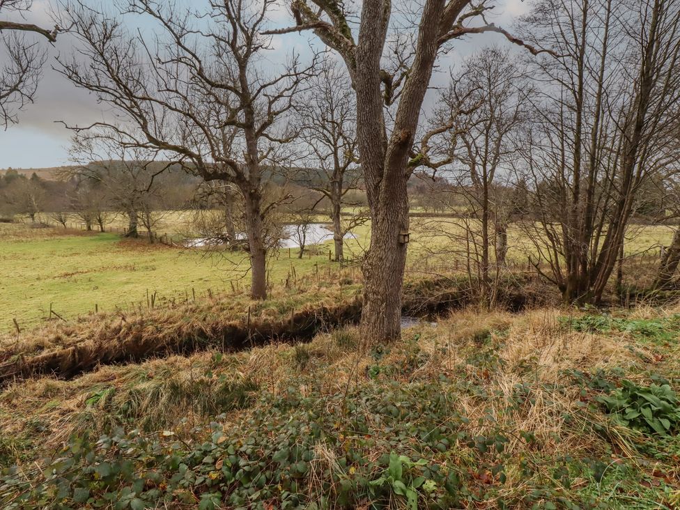 A landscape with trees and a stream at Woodland in Hexham