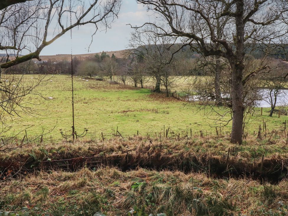 An outdoor scene with a chandelier hanging from a tree near a field at Woodland Hexham