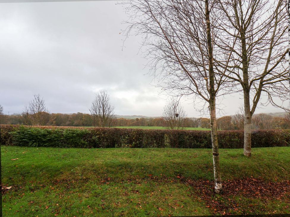 A view of trees and grass with a hedge at Bumblebee Cottage in Whitby