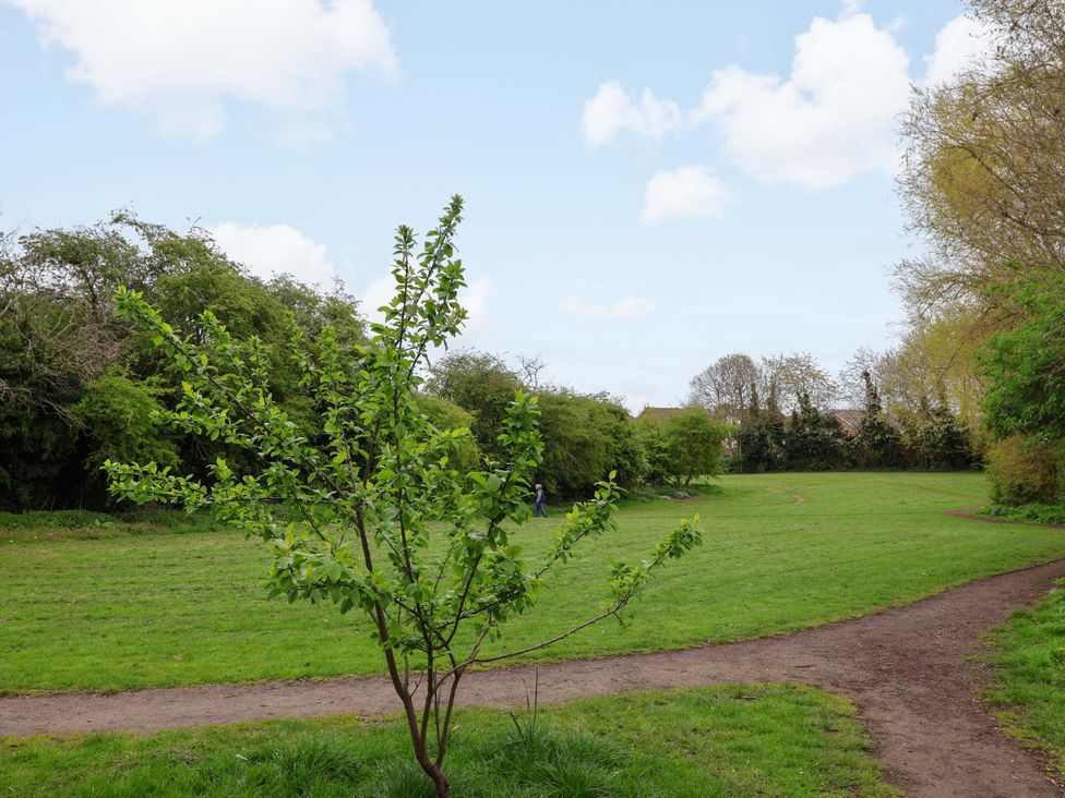 A park with a tree and path at Skylights in Hoole