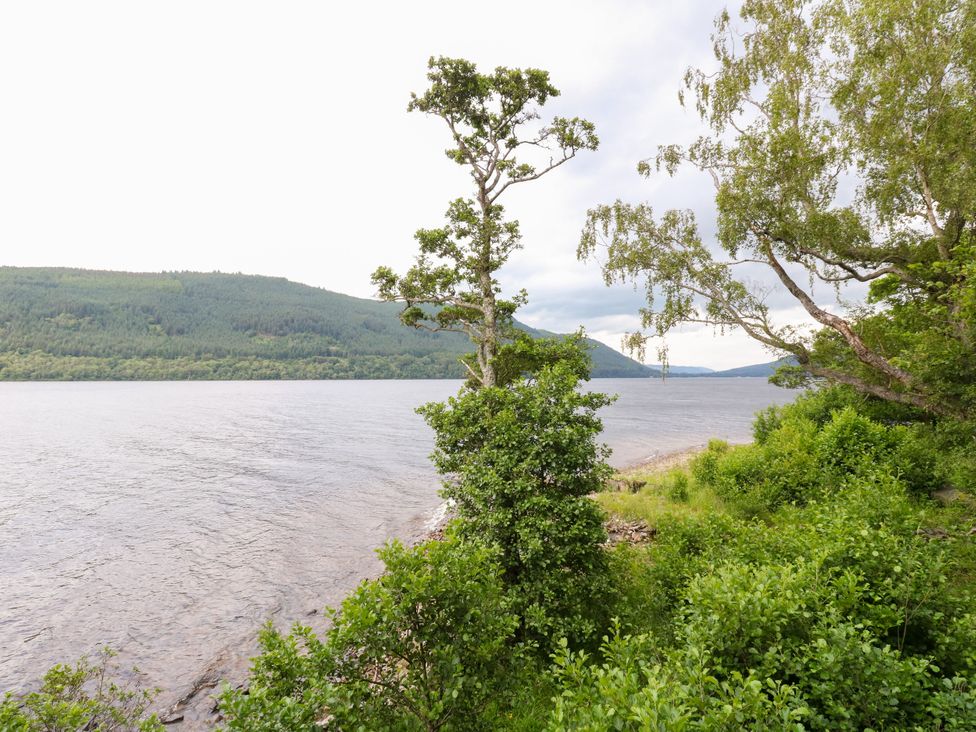 A view of water and trees at Dipper Boathouse in Killin