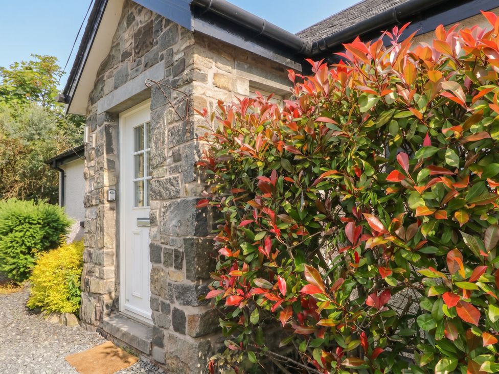 A front door by a stone wall with a bush at Ghillie's Cottage in Killin
