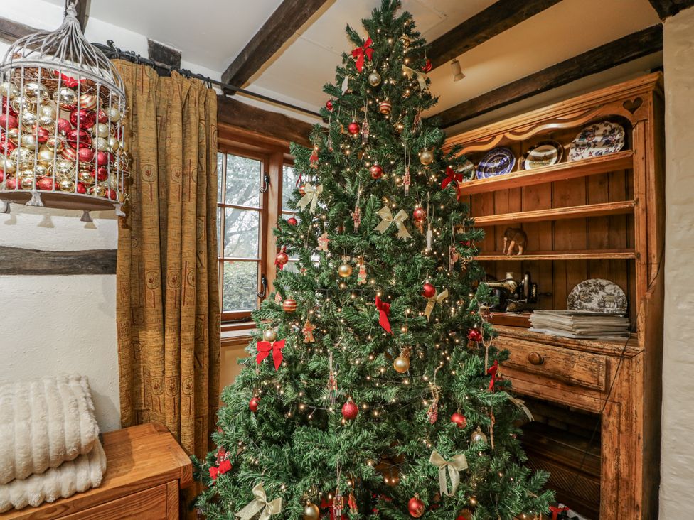 A living room with a Christmas tree and decorative shelf at 24 Eastcourt