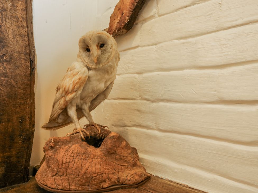 A sculpture of an owl on a wooden base at 24 Eastcourt 