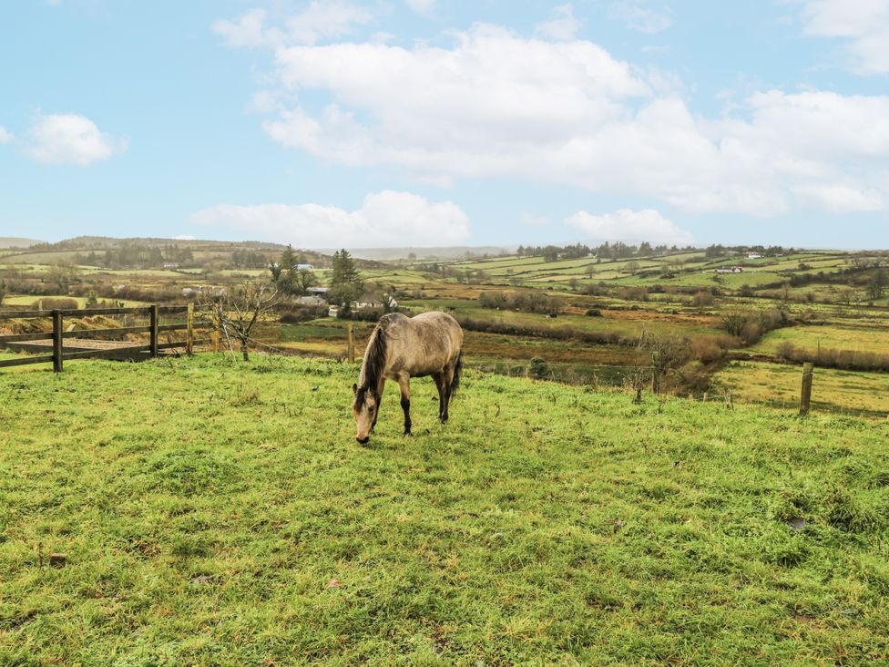 A horse grazing in a field with rolling hills at Glenview Log Cabin Ballycastle