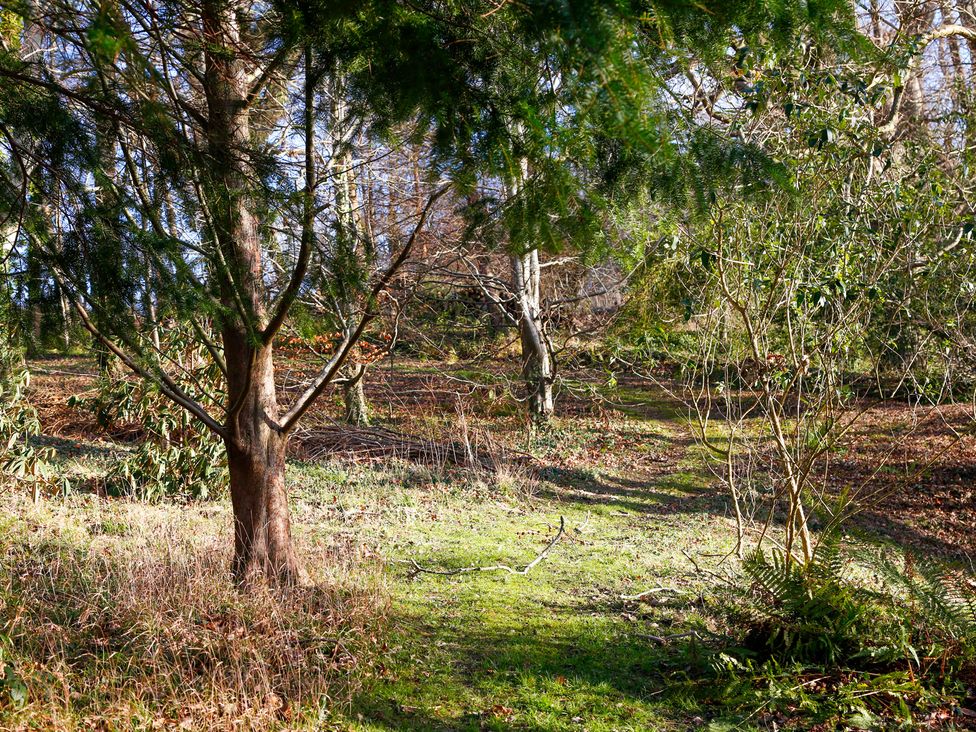 A pathway among trees and shrubs at Ty Uchaf in Colwyn Bay