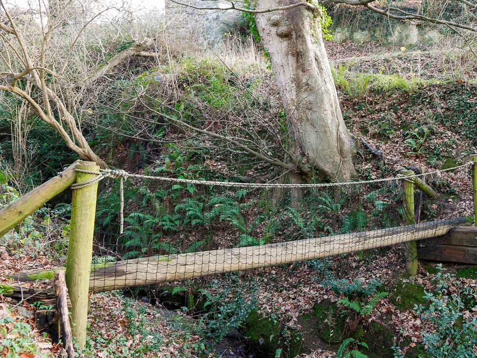 A suspension bridge over a creek surrounded by trees and ferns at Ty Uchaf in Colwyn Bay