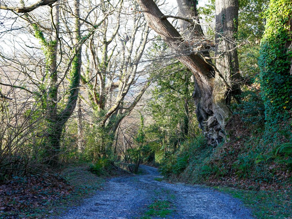 A gravel path surrounded by trees and bushes at Ty Uchaf in Colwyn Bay