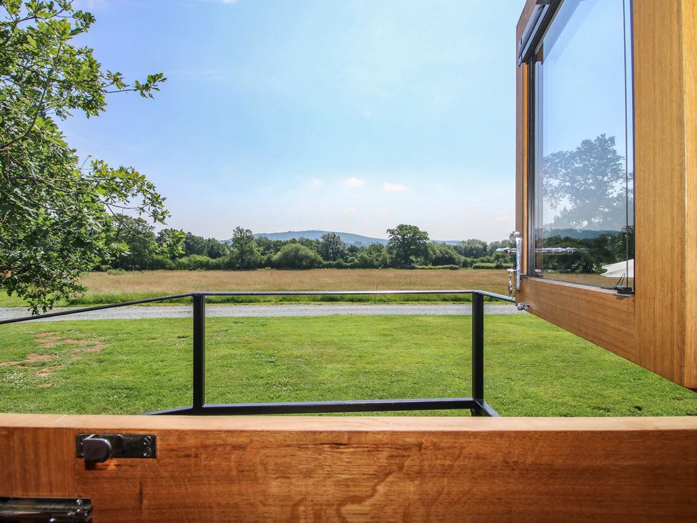 A view of grass and trees from a window at Dave’s Place in Broadstone near Munslow